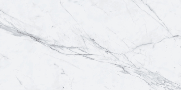 P231123006G STATUARIO EXTRA  (3)