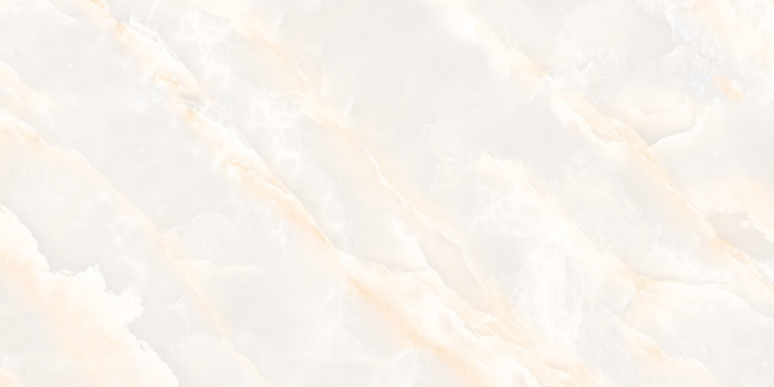 SELTIS ONYX  (2) копия