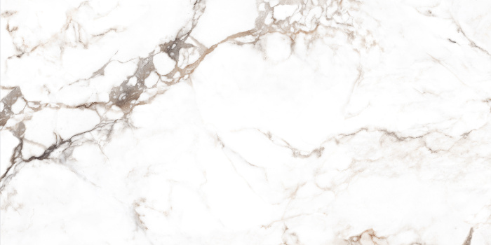 REGAL BORGHINI GREY_R2_