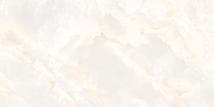 SELTIS ONYX  (3) копия