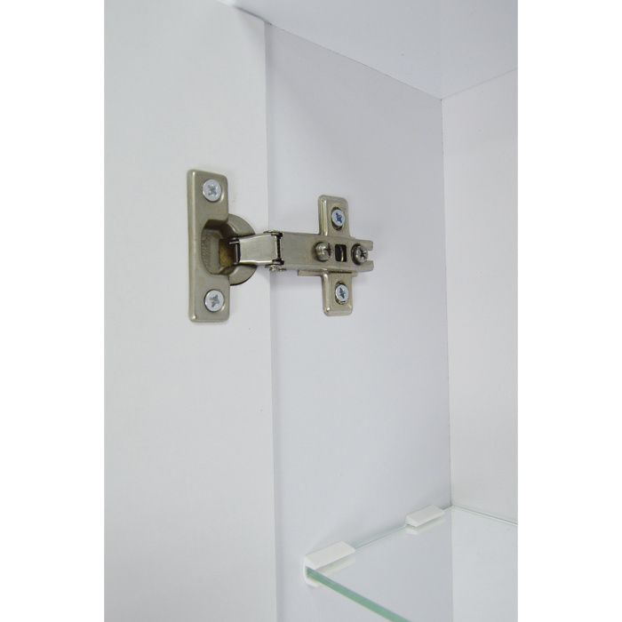 Зеркало Моника лев_3