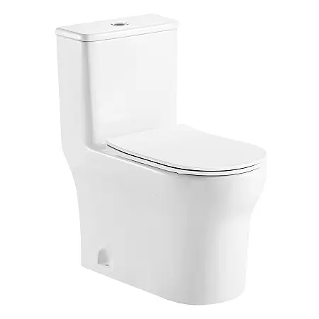 Унитаз-моноблок AZARIO SINTO 720х390х765 напольный, в комплекте с сиденьем дюропласт микролифт, белый (AZ-1098)