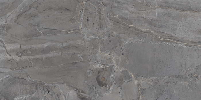 P231123005G ELEGANT GRIS (4)