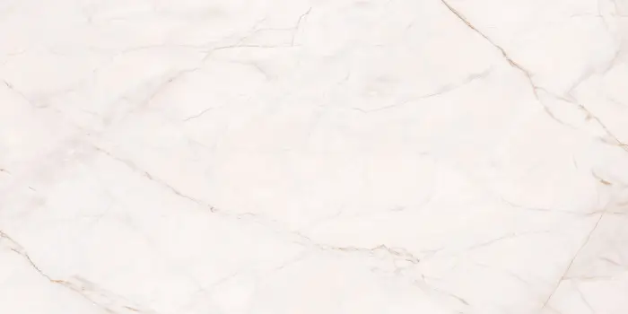 P231123004G RED SKY (VENACIA) (3)