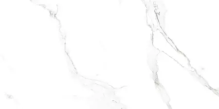 Плитка керамогранитная AZARIO SATVARIO 60х120 Glossy (F4110821128G)