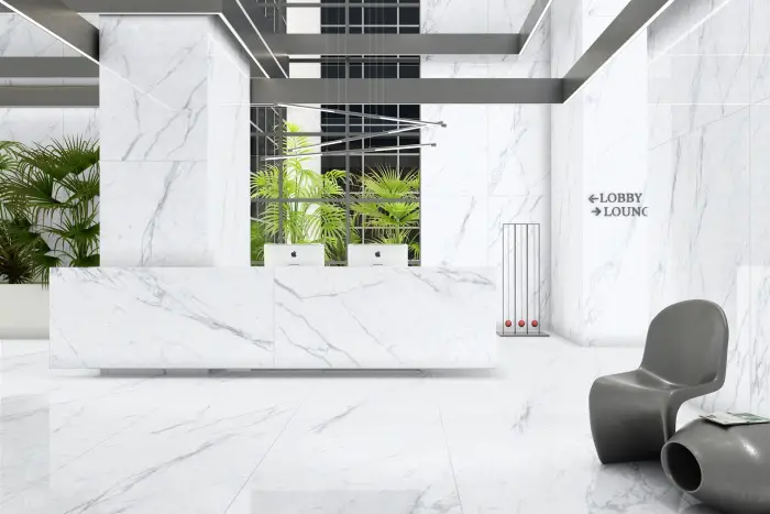 P231123006G STATUARIO EXTRA