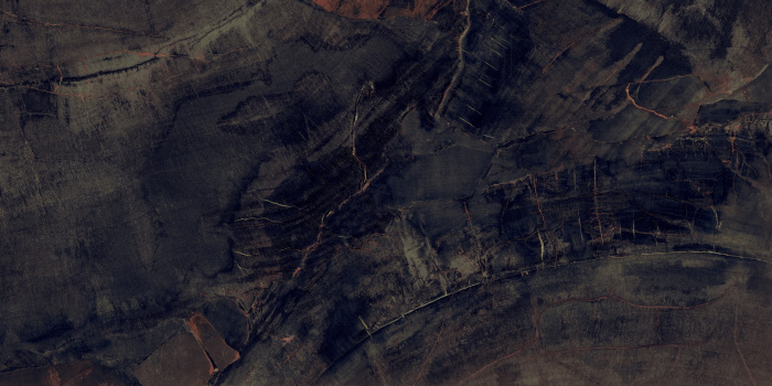 P231123003HG FOSSIL AGATE (2)