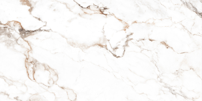 REGAL BORGHINI GREY_R4_