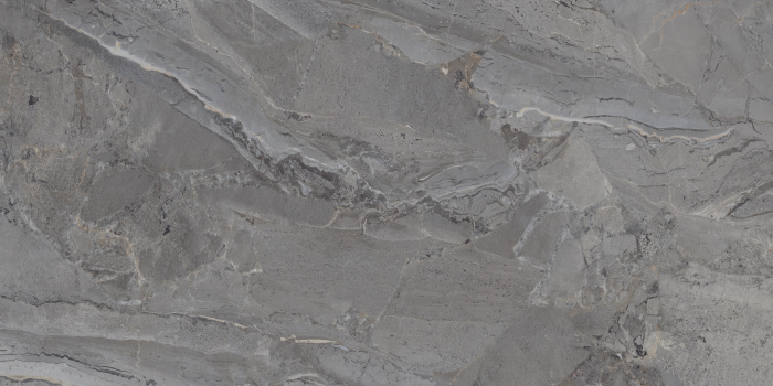 P231123005G ELEGANT GRIS (2)