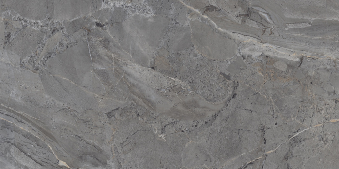 P231123005G ELEGANT GRIS (3)