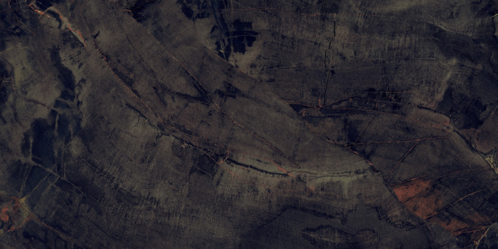 P231123003HG FOSSIL AGATE (4)