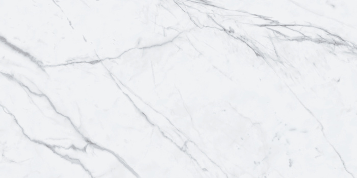 P231123006G STATUARIO EXTRA  (2)