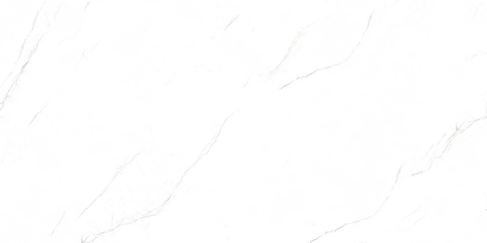 P231123009M VALENCIA WHITE_F2 копия