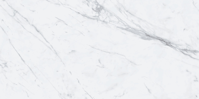 P231123006G STATUARIO EXTRA  (4)