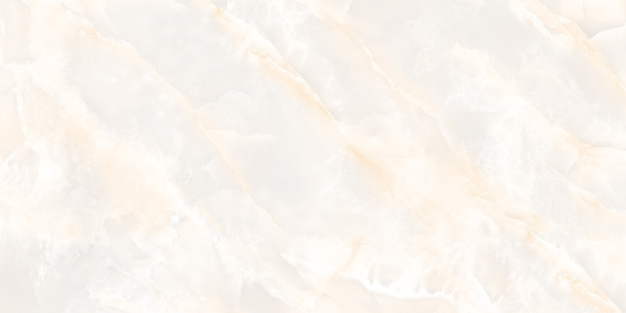 SELTIS ONYX  (4) копия