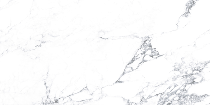 Плитка керамогранитная AZARIO CALACATTA AURA GREY 60х120 Glossy (F4110821121G)