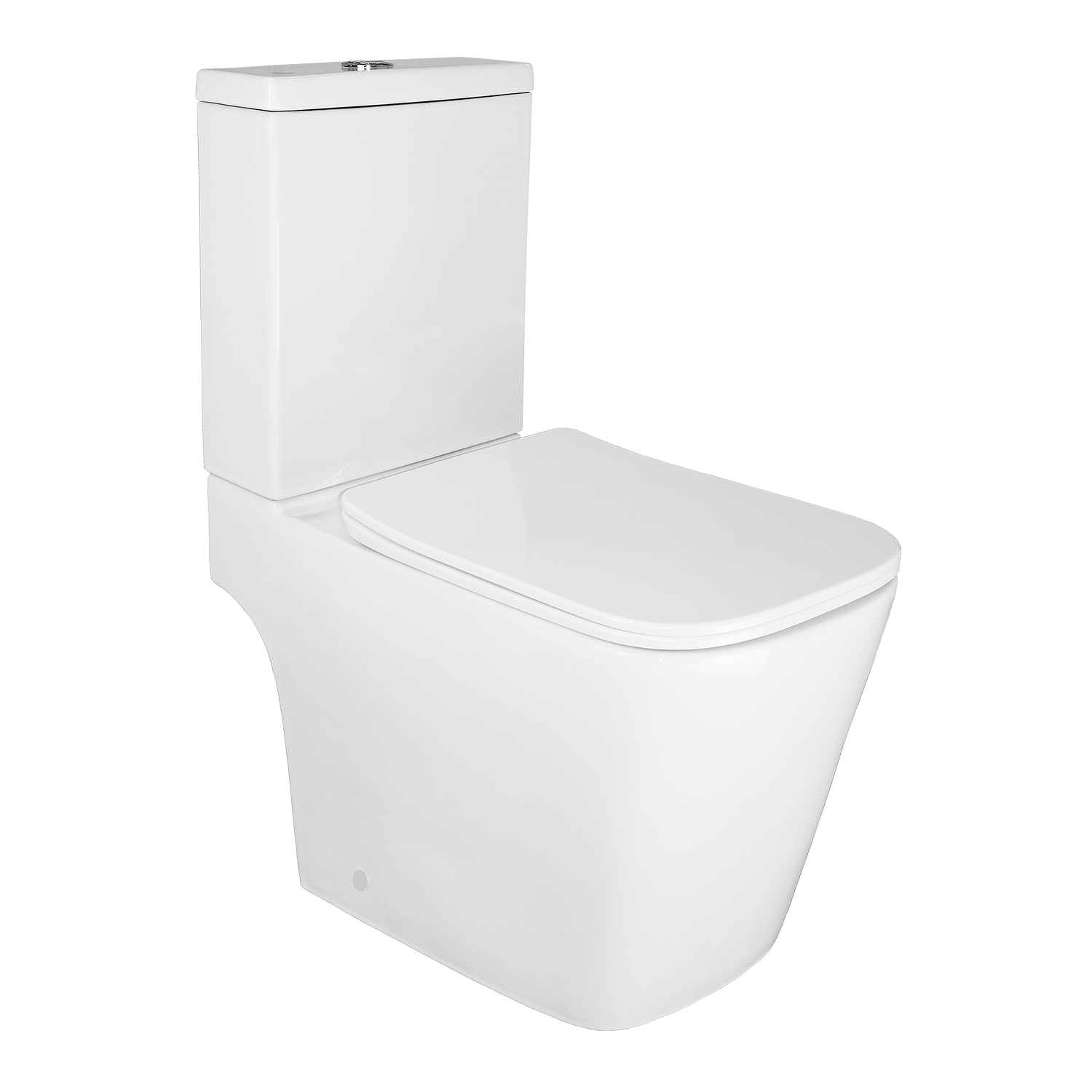 Орыс қожайынының мысығын жалап алды (видео)