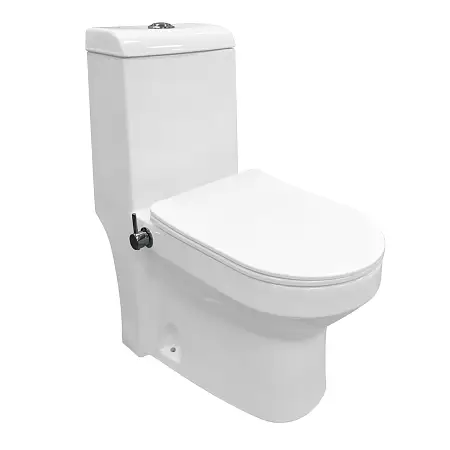 Унитаз-моноблок AZARIO BRUSCO 700x380x805 напольный, со встроенной функцией биде, в комплекте с сиденьем дюропласт микролифт (AZ-1085B)