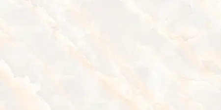 SELTIS ONYX  (2) копия