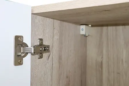 CS00090160_шарнир