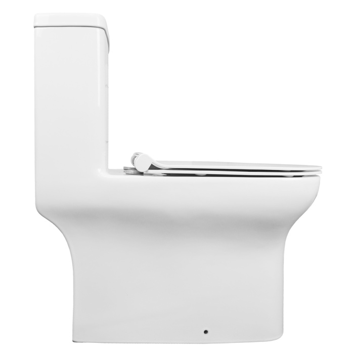 _DSC0774 копия _DSC0774 копия