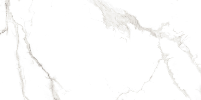 Плитка керамогранитная AZARIO MARTIN GREY 60х120 Glossy (F4110821124G)