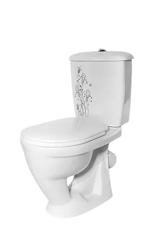 Унитаз-компакт Радуга тарельчатый декор Цветы Стандарт, сиденье полипропилен