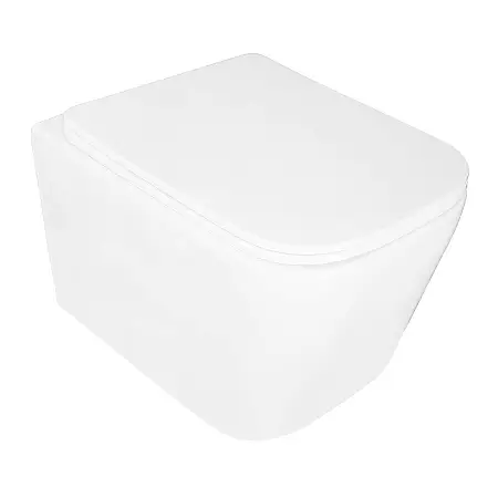  Унитаз подвесной Loranto Delphi 340х485х290 безободковый, с системой смыва "Скрытое Торнадо", в комплекте с быстросъемным сиденьем микролифт (91343)