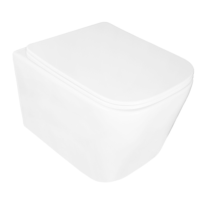  Унитаз подвесной Loranto Delphi 340х485х290 безободковый, с системой смыва "Скрытое Торнадо", в комплекте с быстросъемным сиденьем микролифт (91343)