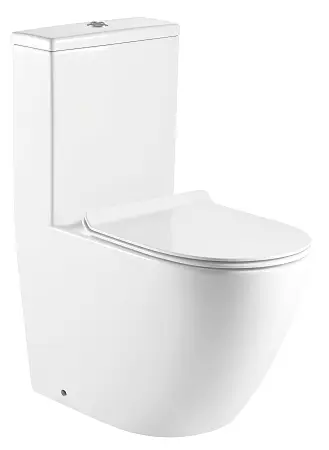 Унитаз-моноблок AZARIO MORANO 680x370х830 напольный, безободковый, в комплекте со смывным механизмом Geberit и сиденьем дюропласт микролифт (AZ-1001-G)