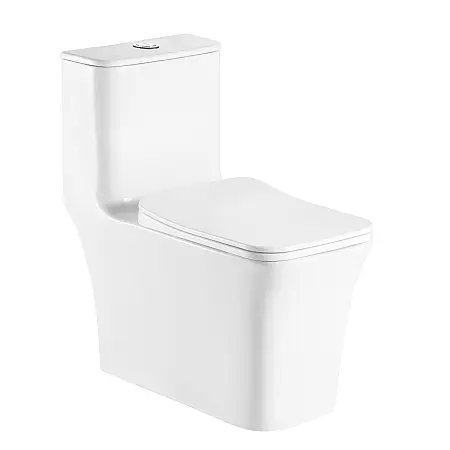 Унитаз-моноблок AZARIO GRESSA 705х370х760 напольный, безободковый, в комплекте с сиденьем дюропласт микролифт, белый (AZ-1111) Унитаз-моноблок AZARIO GRESSA 705х370х760 напольный, безободковый, в комплекте с сиденьем дюропласт микролифт, белый (AZ-1111)