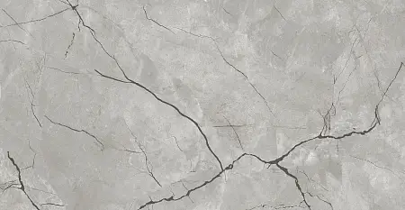 Плитка керамогранитная AZARIO ATLAS GREY 60х120 Glossy (F4050821120G)