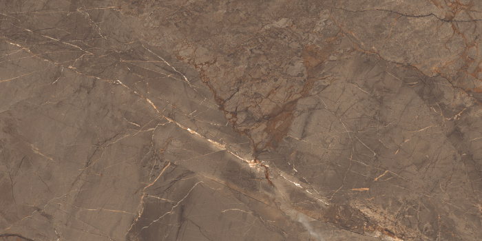 Плитка керамогранитная AZARIO ROYAL MARBLE 60х120 High Glossy (P3060821120HG)