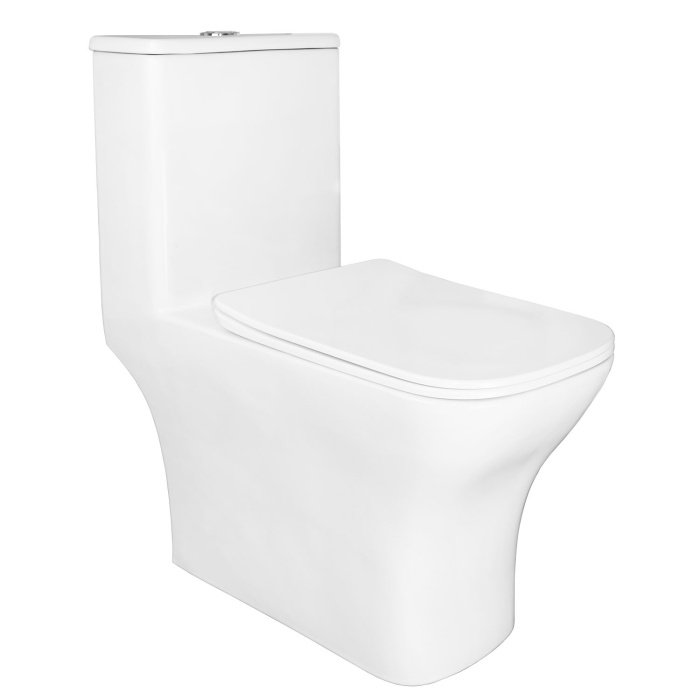 Унитаз моноблок с функцией биде Azario Lodi 350х665х750 напольный, безободковый, горизонтальный слив, сиденье дюропласт микролифт (AZ-8617B) Унитаз моноблок с функцией биде Azario Lodi 350х665х750 напольный, безободковый, горизонтальный слив, сиденье дюропласт микролифт (AZ-8617B)