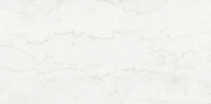 Плитка керамогранитная AZARIO ROYAL BOTTOCHINO 60х120 Glossy (P3211112141G)